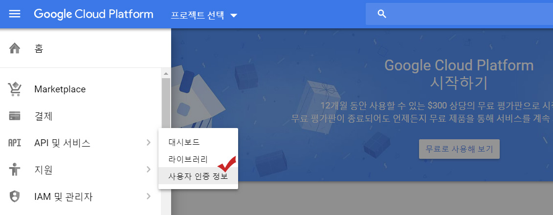 구글지도 플랫폼 사용자 인증 정보