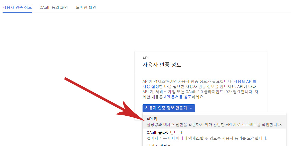 구글지도 플랫폼 프로젝트 API 키