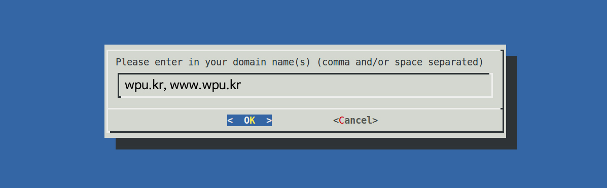 Let's Encrypt 인증서 사용할 도메인 입력 Let's Encrypt 인증서 사용할 도메인 입력
