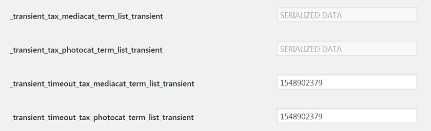 전체 옵션 페이지의 transient 옵션 필드