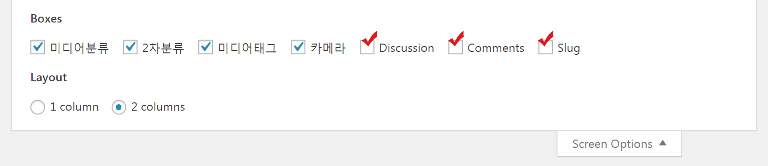 Screen Options 메타박스 선택
