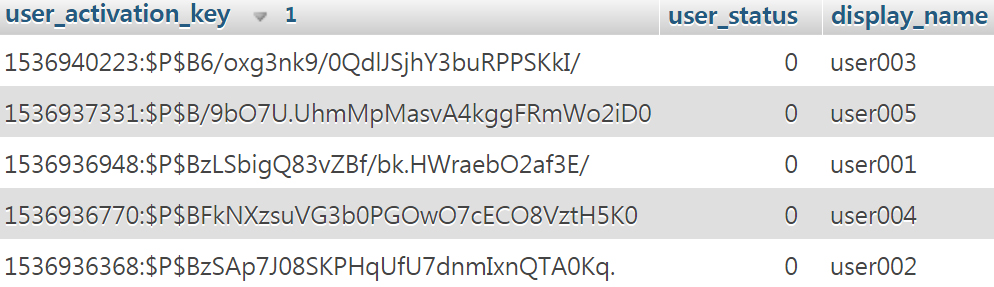 워드프레스 데이터베이스 users 테이블의 user_activation_key 필드 워드프레스 데이터베이스 users 테이블의 user_activation_key 필드