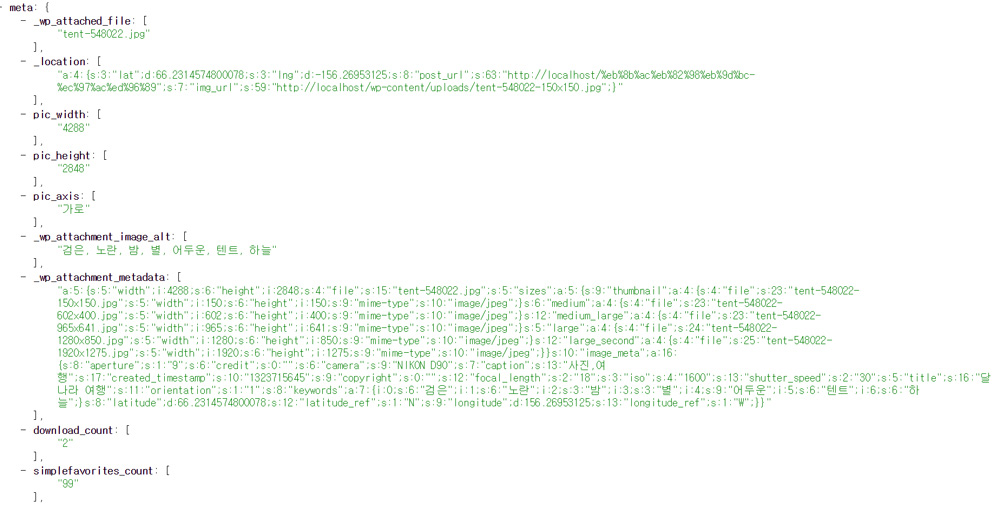 워드프레스 REST API meta 데이터 추가